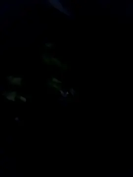 Hr91id43oy  live sex cam