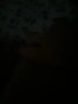 Kittymama4568  live sex cam