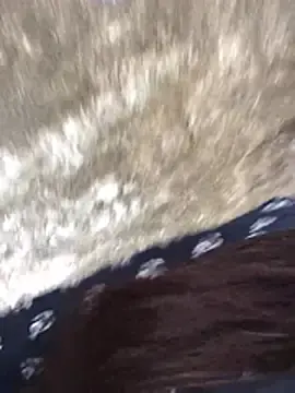 Janekat-  live sex cam