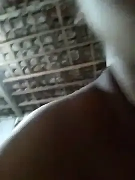 Totoperveso  live sex cam