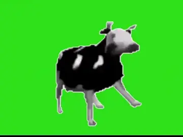 Test_FramedTishri_m  live sex cam