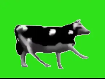 Test_FramedTishri_m  live sex cam