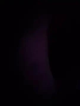 Bamby88  live sex cam