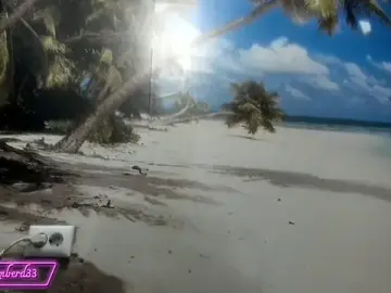 Kimberd33  live sex cam