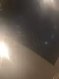 Paisleyswet2  live sex cam