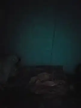 Mienki02  live sex cam