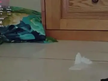 WOOANNA  live sex cam