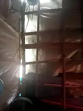 Hermosurasexy  live sex cam