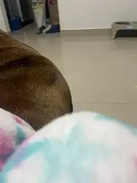 Ravenvyx  live sex cam
