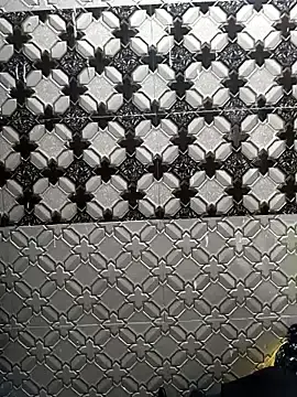Payal24  live sex cam