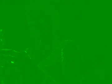 Eva_Lucifer  live sex cam