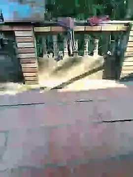 Julyhenrry  live sex cam