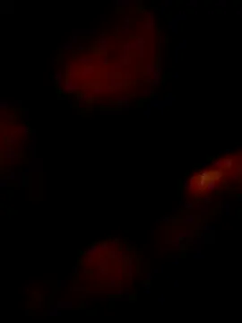 Pretinhanovinha  live sex cam