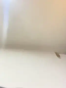 Val_zx  live sex cam