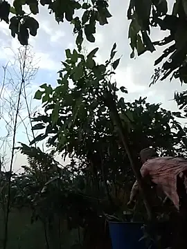 Trangana  live sex cam