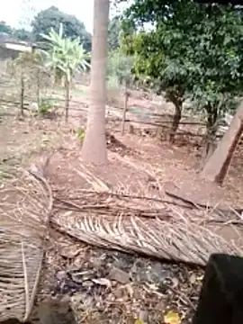 GlossyBuddy13  live sex cam