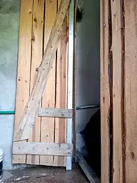 Congchua977  live sex cam