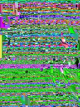 Cloee_Rainbow1  live sex cam