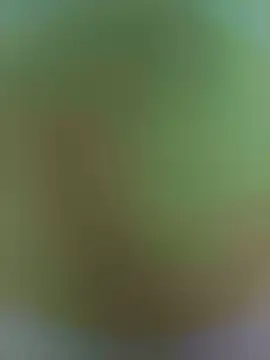 Snehu004  live sex cam