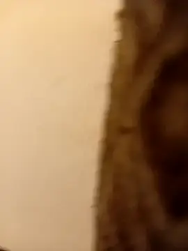 3riri  live sex cam