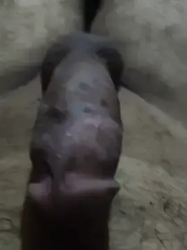 Almagr  live sex cam