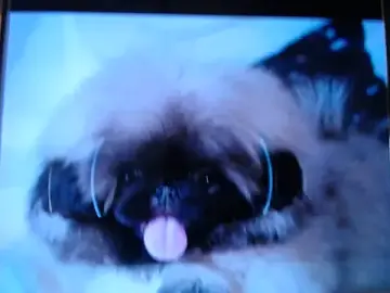 Naughtyfox89  live sex cam