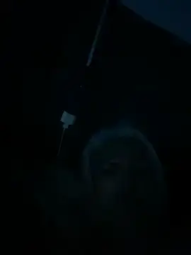 Marilyn70  live sex cam