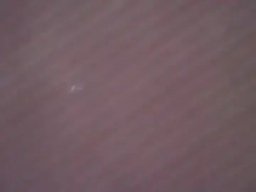Princess188  live sex cam
