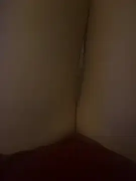 Pheobelove  live sex cam