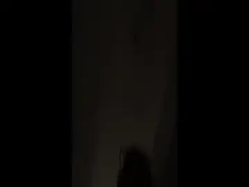 Van3orgasm4me  live sex cam