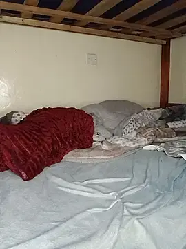 EbonySquirtBby  live sex cam