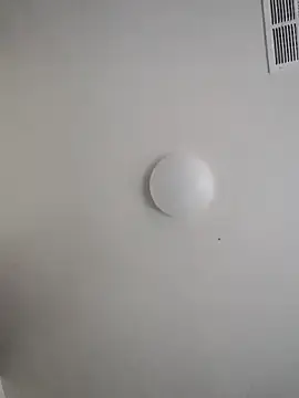 Beethatsmee  live sex cam
