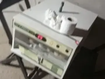 _-_-_-novinha24anos_-_-  live sex cam