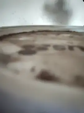 ROSE099  live sex cam