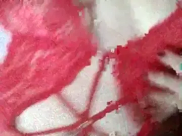 Melvilar  live sex cam