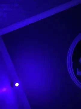 LawrencyLarry  live sex cam