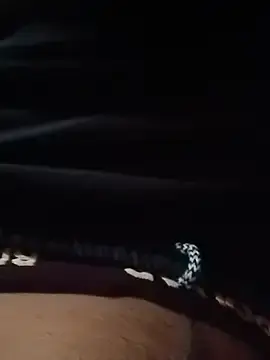 Rajjo_bano  live sex cam
