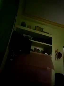 Sariadevi  live sex cam