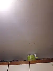 MeganDolll  live sex cam