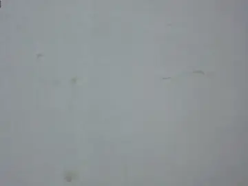 Tabata_monroe  live sex cam