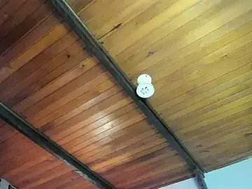 EmiliWilliams  live sex cam