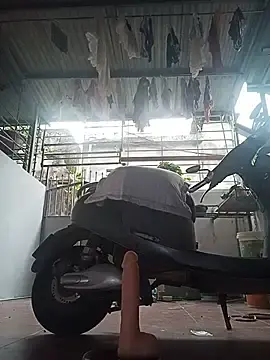 July-Asian  live sex cam