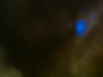 Luna_palmerau  live sex cam