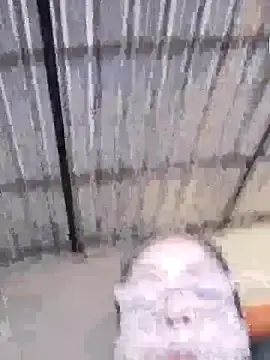 Delicy1  live sex cam