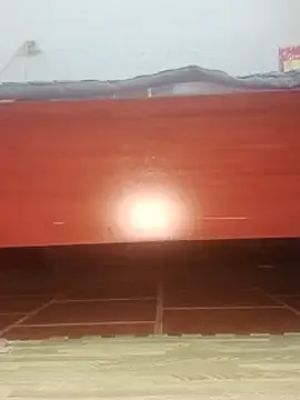Han_Sara  live sex cam