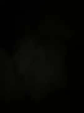 PsychicRequiem  live sex cam