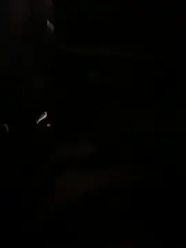 Japxooxoo  live sex cam