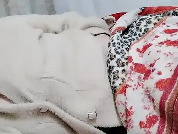 Kitty-lick  live sex cam