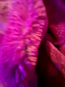 Hotdesibhabi  live sex cam