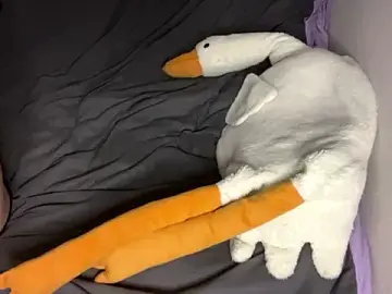 SibleyBurner  live sex cam